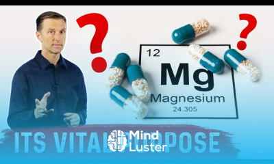 The Important Unknown Purpose of Magnesium