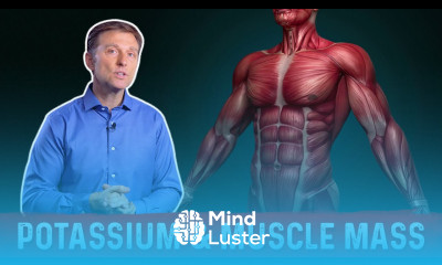 Potassium Intake Muscle Loss Body Fat – Dr Berg