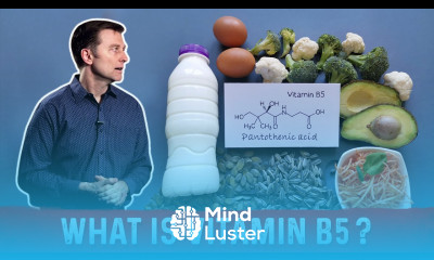 What is Vitamin B5 Pantothenic Acid – Dr Berg