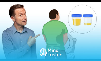 1 Early Sign of Toxic Kidneys