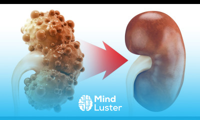 The REAL Cause of Chronic Kidney Disease and Polycystic Kidney Disease