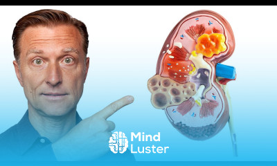 The TOP Best Foods to Improve Kidney Function END STAGE KIDNEY DISEASE