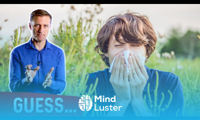 The 3 Top Allergies on the Planet