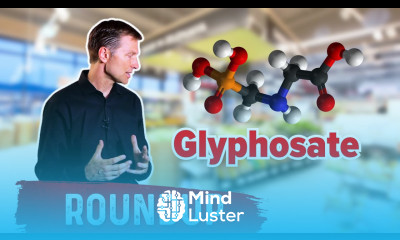 The Food With the Highest Glyphosate Roundup