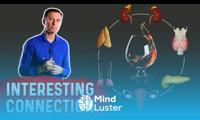 Alcohol and the Endocrine System OKAY