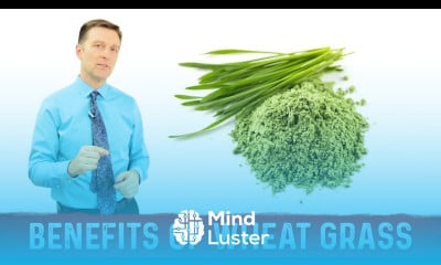 12 Scientific Health Benefits of Wheat Grass Powder by Dr Berg