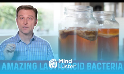 Lactic Acid Bacteria and Fermented Foods Benefits – Dr Berg