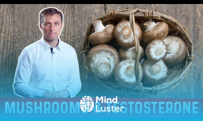 White Button Mushrooms Are the Best Testosterone Booster Food – Dr Berg