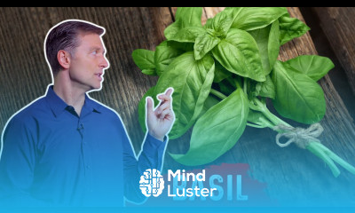 Amazing Health Nutritional Benefits Of Basil Dr Berg