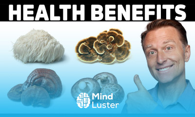 The Mind Blowing Benefits of 4 Mushrooms