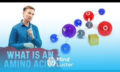 What Is An Amino Acid – Dr Berg