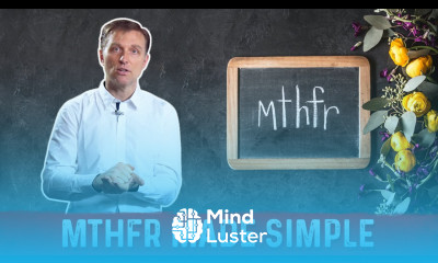 What is MTHFR – Dr Berg Explains in Simple Terms