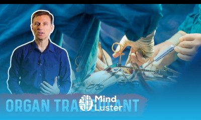 Four Natural Remedies for Organ Transplant