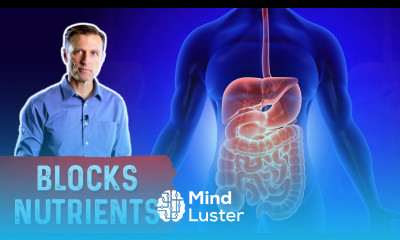 Inflamed Digestive System Blocks Nutrient Absorption