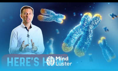 Which Things Increase Telomere Length