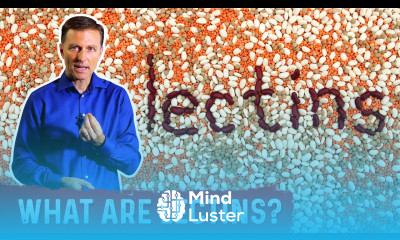 What Are Lectins – Dr Berg