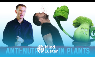 Plants Do Not Like to be Eaten Thus the Anti Nutrients – Dr Berg On Phytoestrogens Phytic Acid