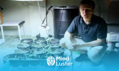 Dr Berg Grows Cruciferous Vegetables in his Basement Part 1