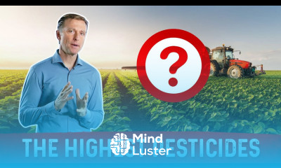 What Food Has the Most Pesticide Residue