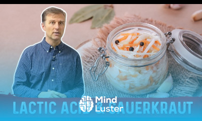Benefits of Lactic Acid from Sauerkraut – Dr Berg