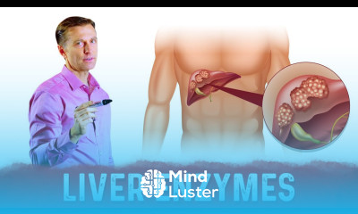 Learn High Liver Enzymes ALT AST – What Do They Mean – Dr Berg - Mind ...