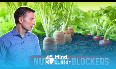 Top 10 Nutrient Blockers – Dr Berg