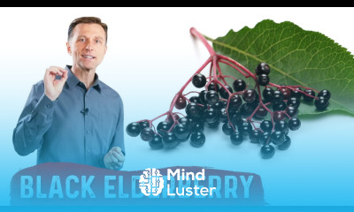 The Amazing Benefits of Black Elderberry