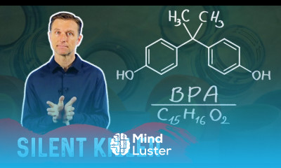 Bisphenol A BPA The Silent Killer OKAY