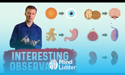 Foods That Mimic Body Parts