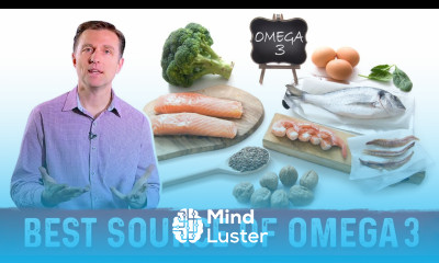 The Best Natural Sources of Omega 3 Fatty Acids – Dr Berg