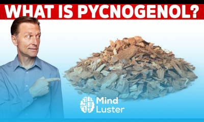 What is Pycnogenol