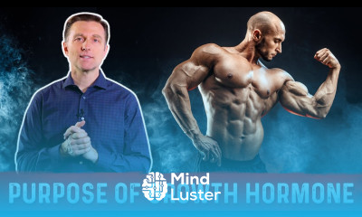 Functions Benefits of Human Growth Hormone HGH beyond Muscle Building – Dr Berg