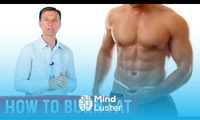 How To Burn Fat Explained by Dr Berg