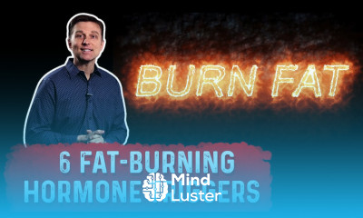 The 6 Fat Burning Hormone Triggers Explained By Dr Berg