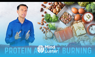 Protein Fat Burning – Protein Foods Food For Fat Burning – Dr Berg