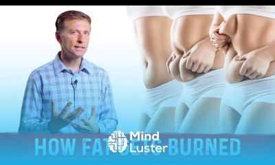 How Fat Gets Burned Science Of Fat Burning Simplified – Dr Berg