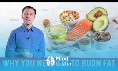 5 Reasons Why You Need Dietary Healthy Fats For Fat Burning – Dr Berg