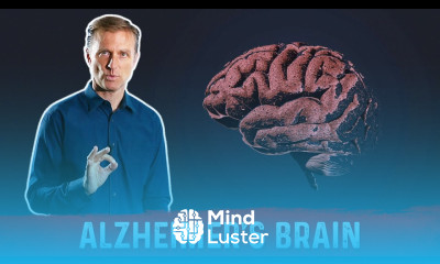 What is Alzheimer s Disease – The Alzheimer s Brain – Dr Berg