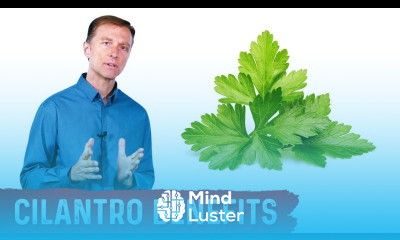 What is Cilantro Good For