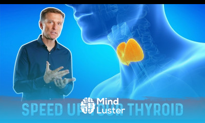 How to Get Your Thyroid to Work Correctly