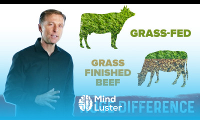 Grass Fed vs Grass Finished Beef Big Difference