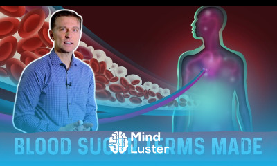 Blood Sugar Levels Terminology Made Simple – Dr Berg On Glycemic Index Insulin