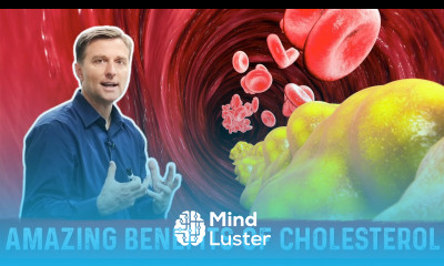 Cholesterol Function – Amazing Benefits of Cholesterol – Dr Berg