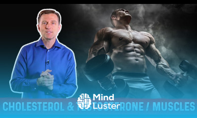 The Importance of Cholesterol for Your Muscles and Testosterone – Dr Berg