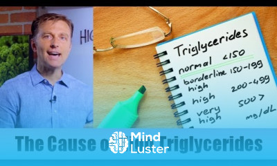 The True Cause of High Triglycerides – Dr Berg