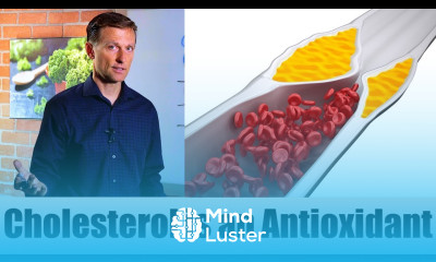 Antioxidant Another Interesting Cholesterol Function Explained by Dr Berg