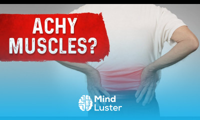 Muscle Aches Low Cholesterol Vitamin D Deficiency