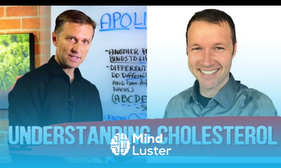 Cholesterol Basics 101 by Dave Feldman Dr Berg