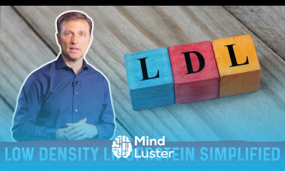 What is LDL Understanding in Simple Terms with Dr Berg