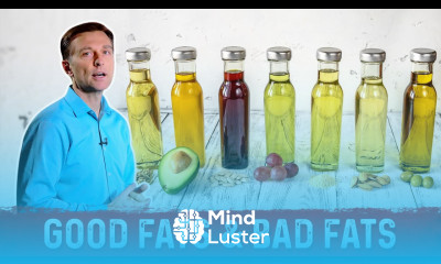 Good Fats Vs Bad Fats – Dr Berg